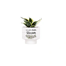 indoor planter, plant container, home decor plant pot